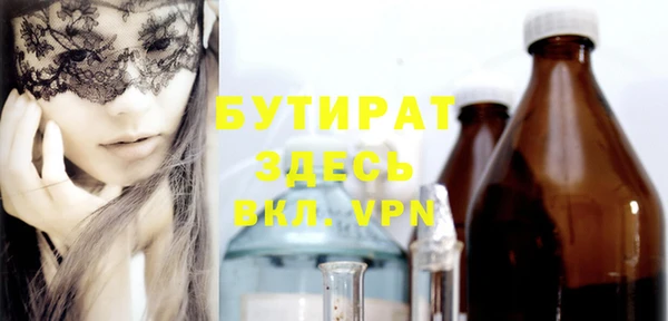 сатива Сатка