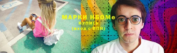 сатива Сатка